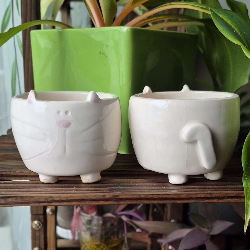 Adorable White Cat-Shaped Ceramic Planter Set